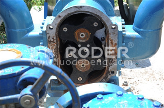 凸輪轉子泵 凸輪轉子泵