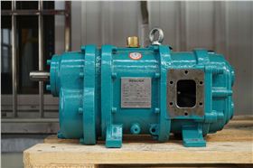 羅德品牌RDB6型凸輪轉(zhuǎn)子泵 羅德品牌RDB6型凸輪轉(zhuǎn)子泵