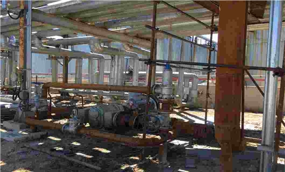 轉子泵管道采材料