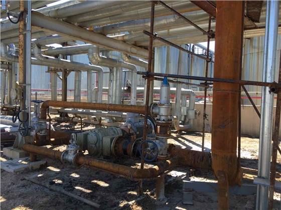 高粘度轉子泵輸油管道 高粘度轉子泵輸油管道