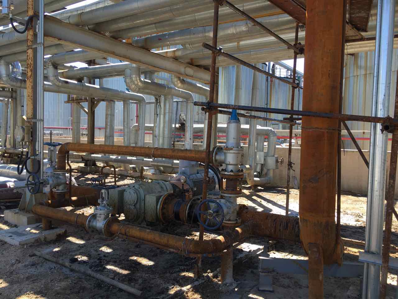 石油石化行業使用羅德品牌凸輪轉子泵20160919