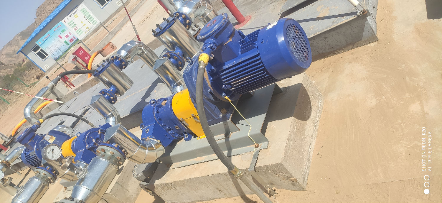 轉(zhuǎn)子泵 轉(zhuǎn)子泵