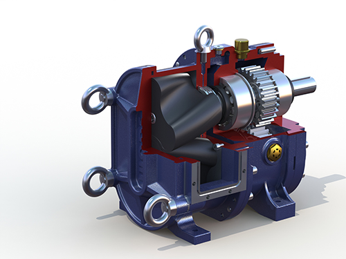 凸輪轉(zhuǎn)子泵泵頭剖面圖 凸輪轉(zhuǎn)子泵泵頭剖面圖