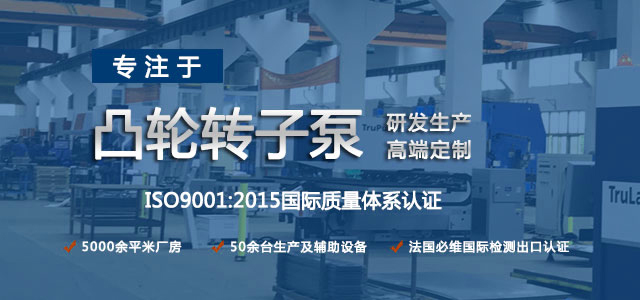 凸輪轉子泵生產廠家，專注于凸輪轉子泵的研發生產，高端定制